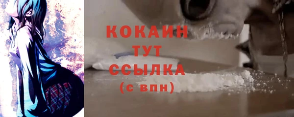 стаф Балахна
