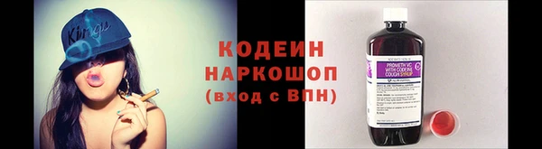 гидра Новозыбков