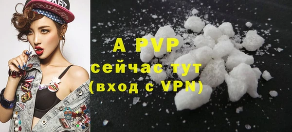 стаф Балахна