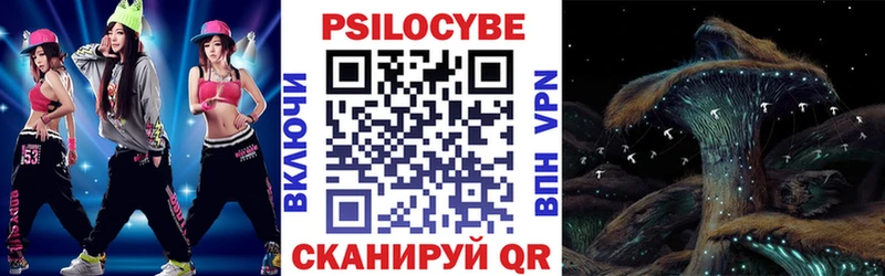 закладки  Сураж  Псилоцибиновые грибы Psilocybe 
